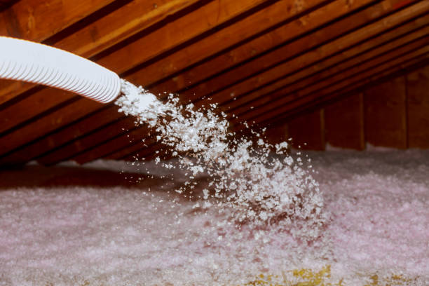 Best Fiberglass Insulation  in Longboat Key, FL