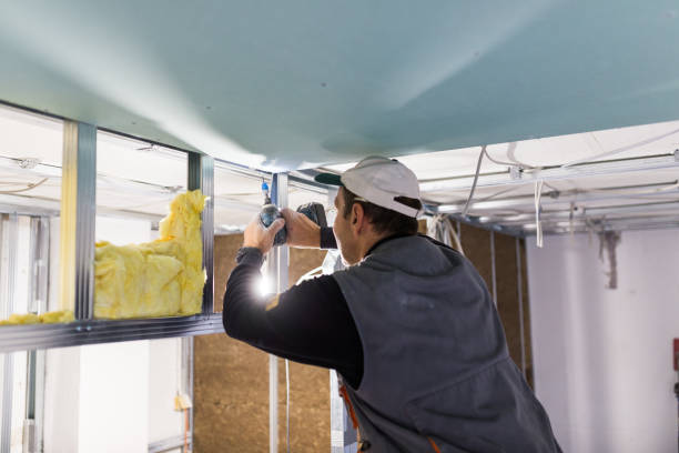 Best Garage Insulation Installation  in Longboat Key, FL
