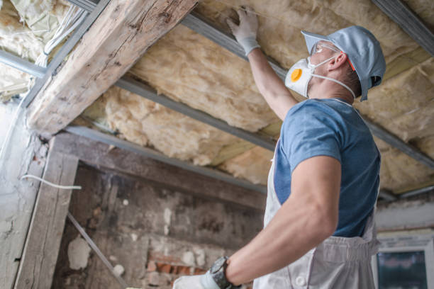 Best Affordable Insulation Services  in Longboat Key, FL