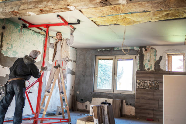 Best Insulation Repair Services  in Longboat Key, FL
