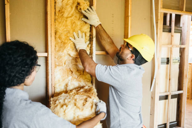 Best Residential Insulation Services  in Longboat Key, FL