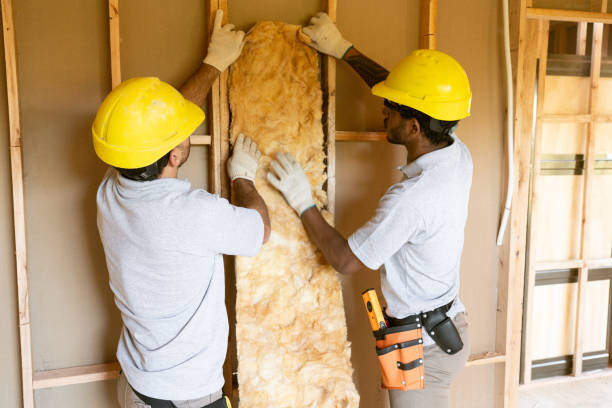 Best Fiberglass Insulation  in Longboat Key, FL
