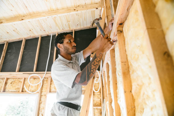 Best Insulation for New Construction  in Longboat Key, FL