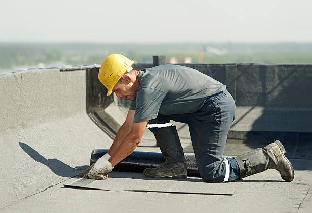 Best Insulation for New Construction  in Longboat Key, FL