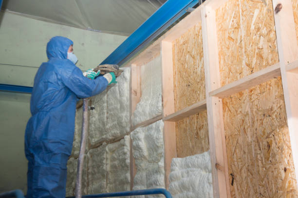 Best Insulation Contractor Near Me  in Longboat Key, FL