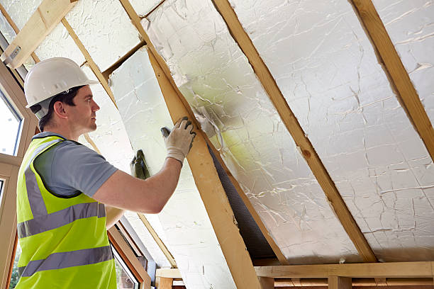 Best Professional Insulation Contractor  in Longboat Key, FL