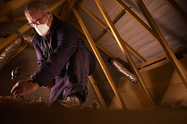 Best Energy-efficient Insulation  in Longboat Key, FL