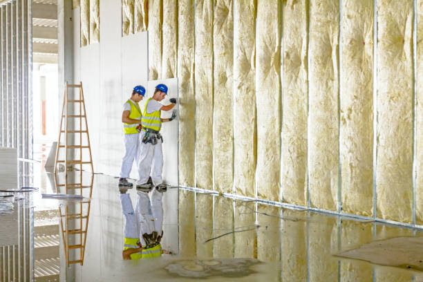 Best Insulation Repair Services  in Longboat Key, FL